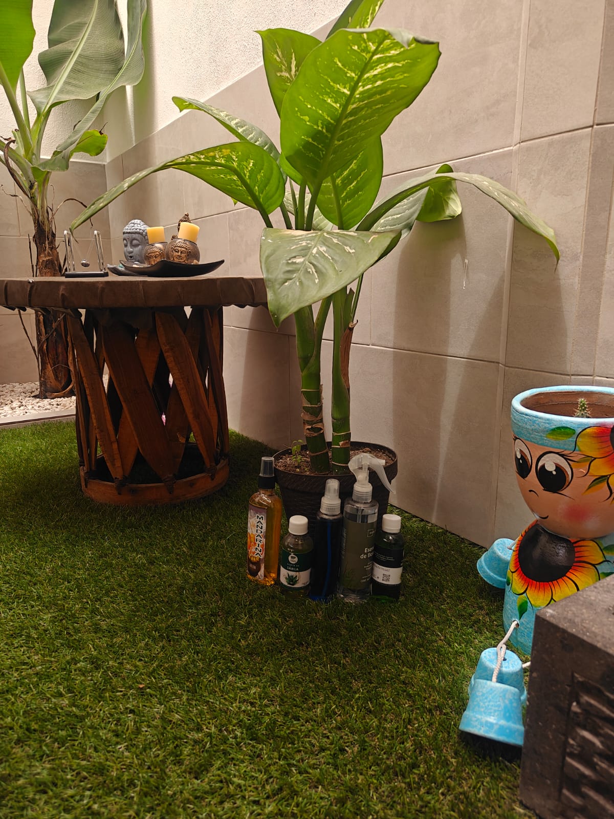 Galeria 12